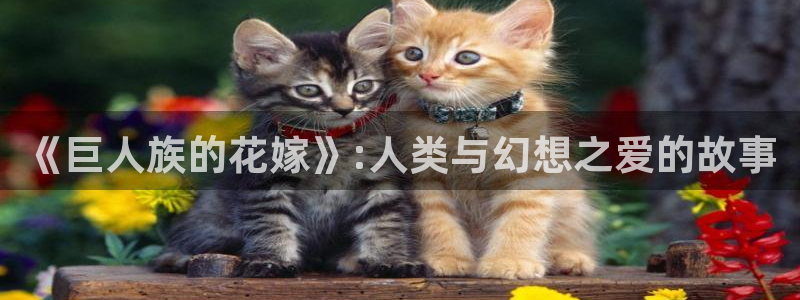 奇漫屋画漫画下拉式