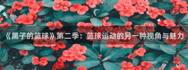 隐世华族漫画下拉式奇漫屋